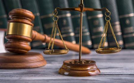 Judicial Reform, Rule of Law and Human Rights