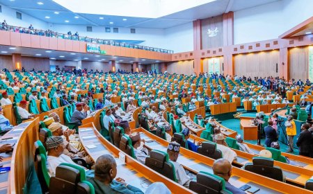 Reform of National Assembly Security/Sergeant-At-Arms