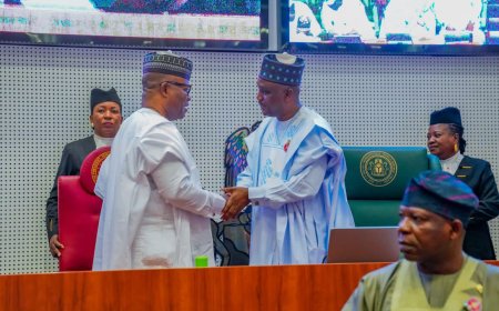 Senate-House of Representatives Synergy and Enhancement of intra and inter Committees’ Engagements