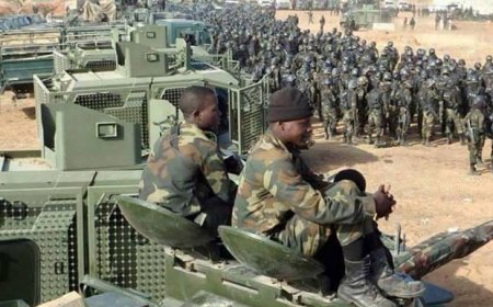 Legislative Support to Counter Terrorism and Insurgency