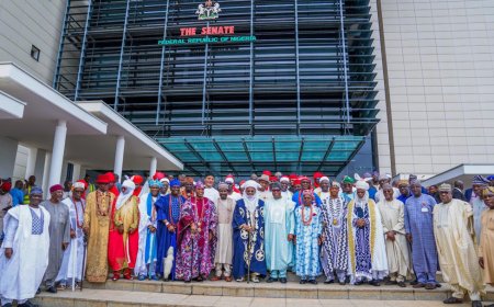 Devise Comprehensive Response to outstanding Constitutional Reform Issues