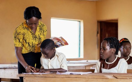 Pursuit of Educational Growth and Penetration